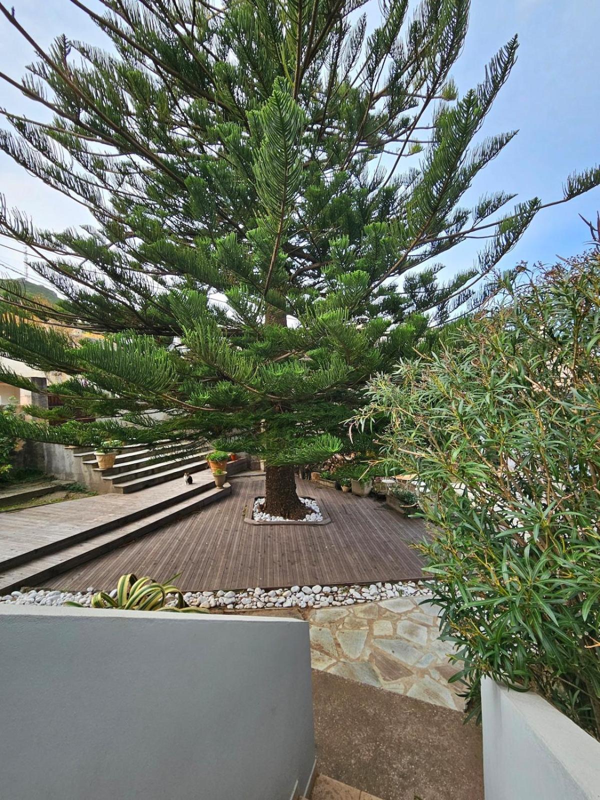 Domaine U Pozzu Apartment Sisco Exterior photo